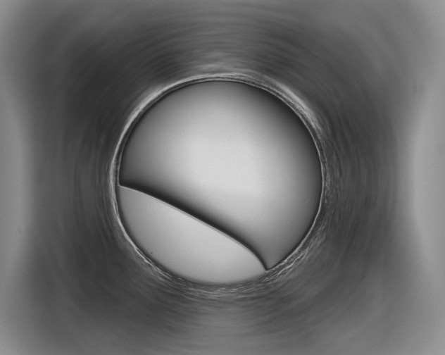 X0000116631291200912110953