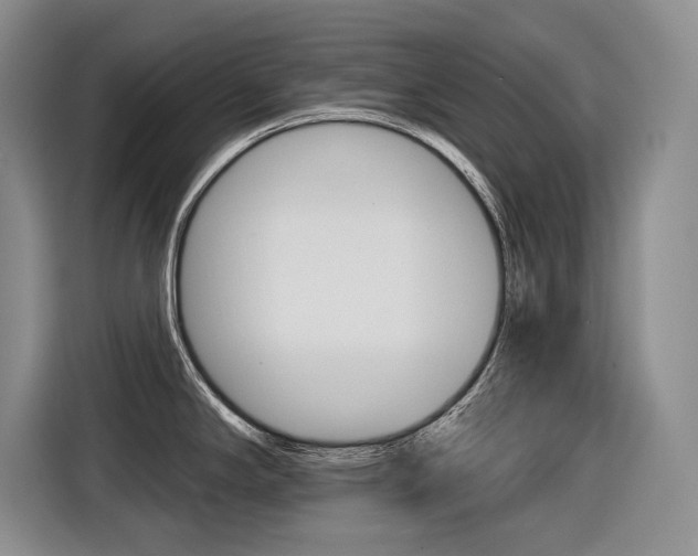 X0000116631294200912110953