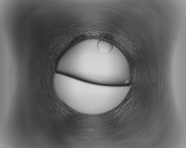 X0000116631297200912110952
