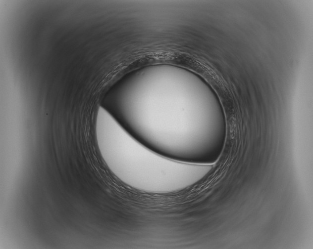 X0000116631298200912110952