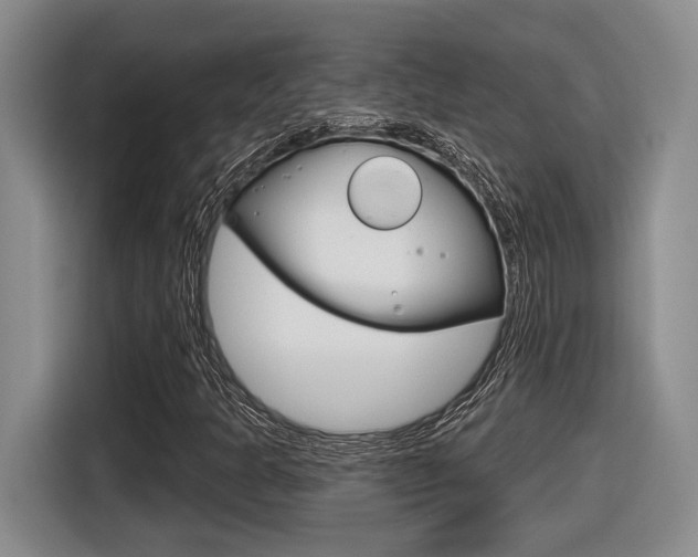 X0000116631301200912110953