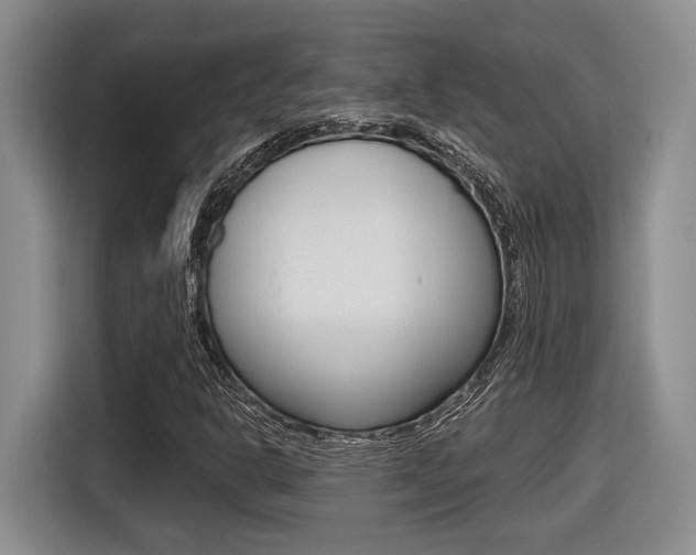 X0000116631302200912110953