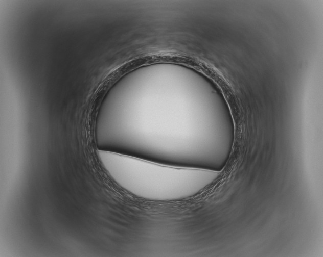 X0000116631303200912110953