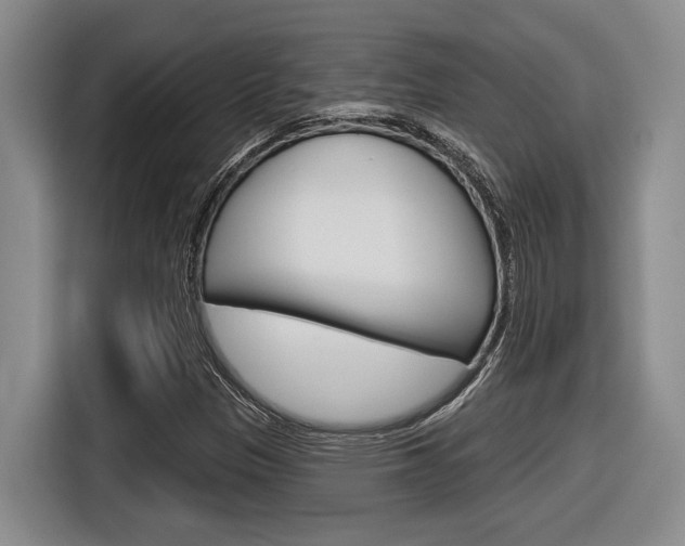 X0000116631305200912110953