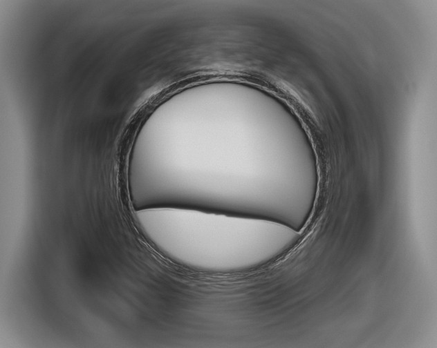 X0000116631307200912110953
