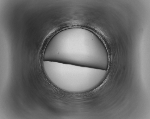 X0000116631309200912110953
