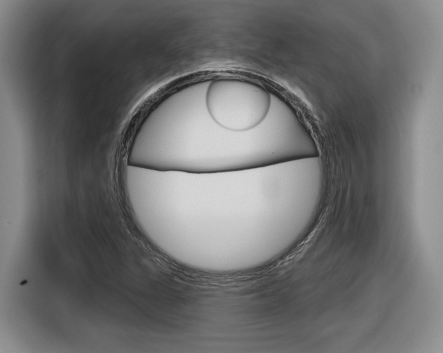 X0000116631311200912110953