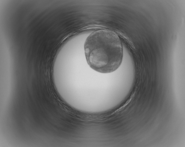 X0000116631313200912110953