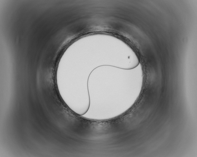 X0000116631314200912110953