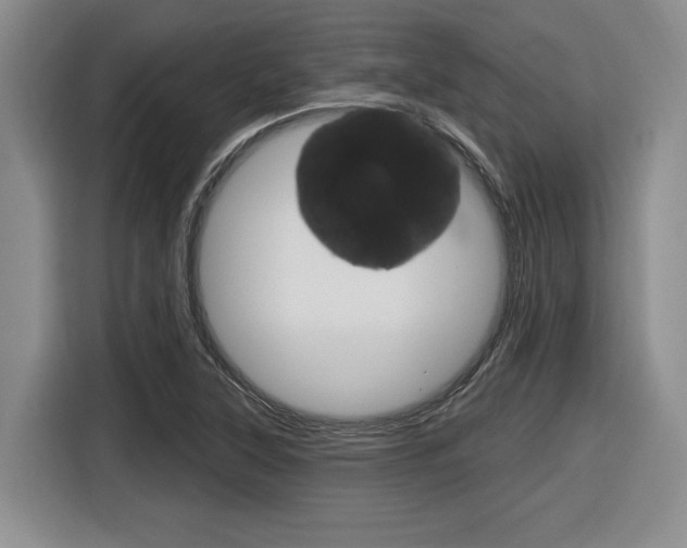 X0000116631315200912110953