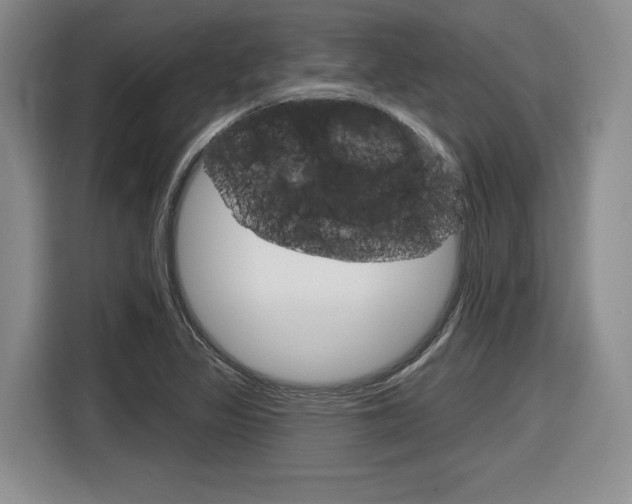 X0000116631317200912110953