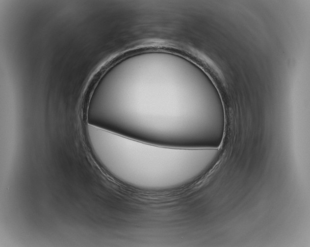 X0000116631318200912110953