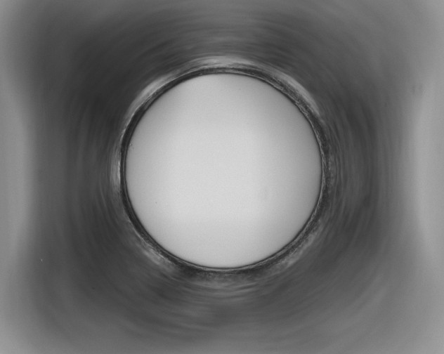 X0000116631322200912110953