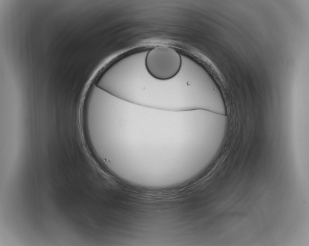 X0000116631323200912110953