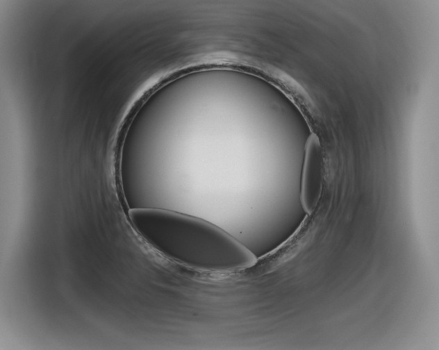 X0000116631326200912110953