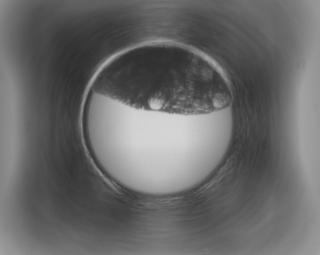 X0000116631327200912110953