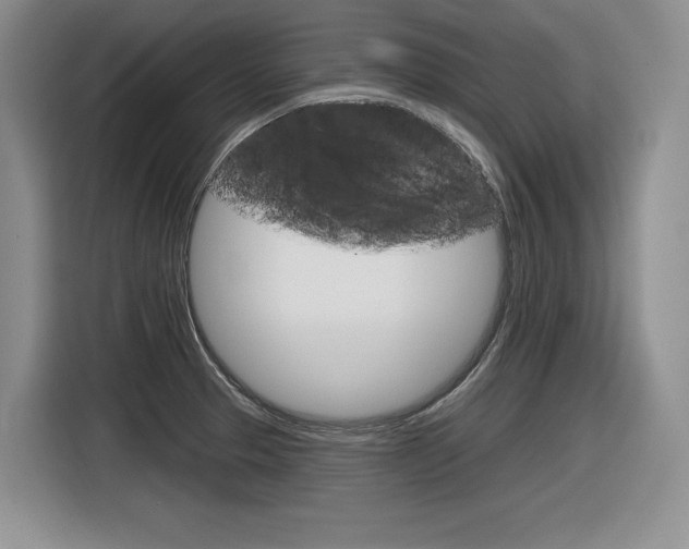 X0000116631329200912110953