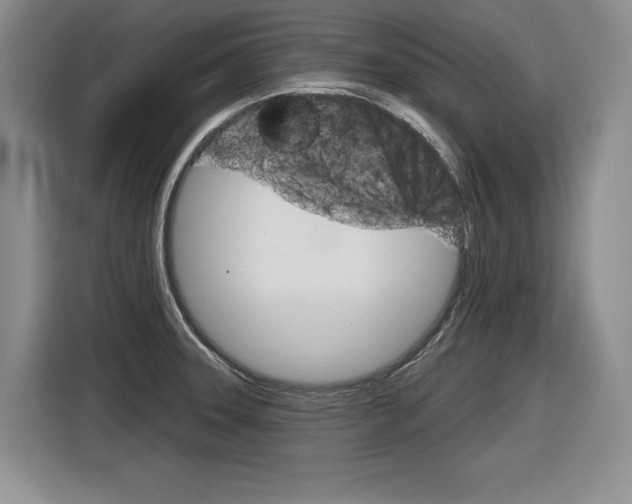X0000116631331200912110953
