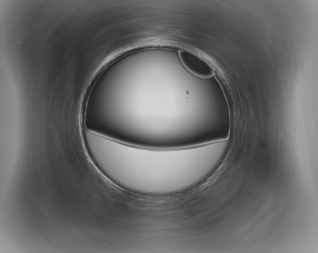 X0000116631334200912110953