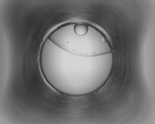 X0000116631335200912110953