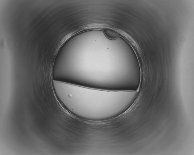 X0000116631337200912110953