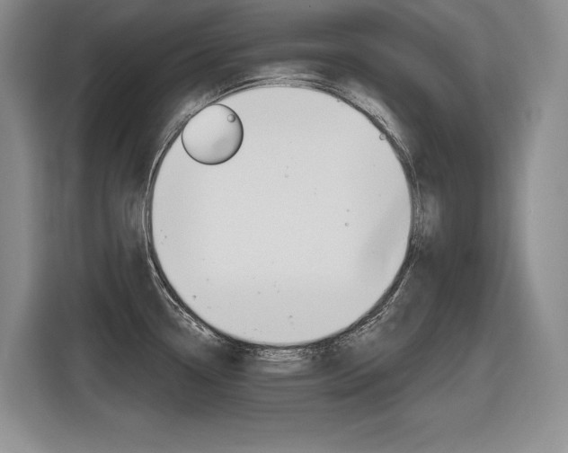 X0000116631338200912110953