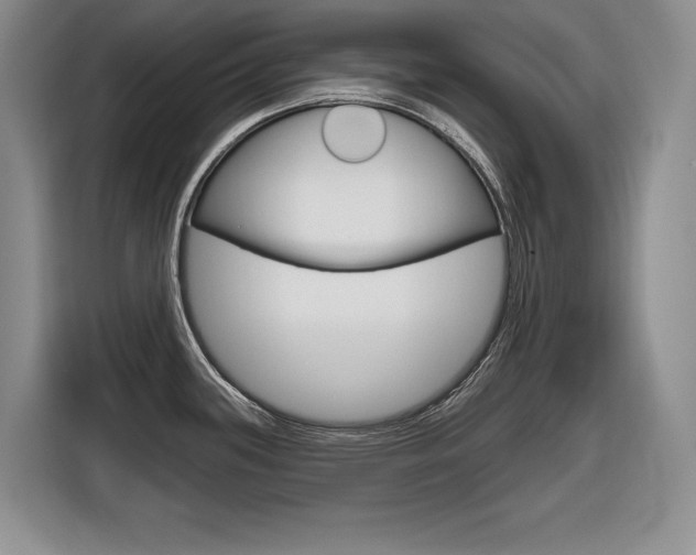 X0000116631339200912110953
