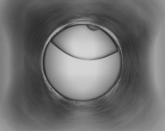 X0000116631341200912110953
