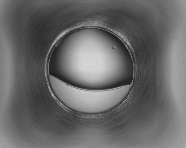 X0000116631342200912110953