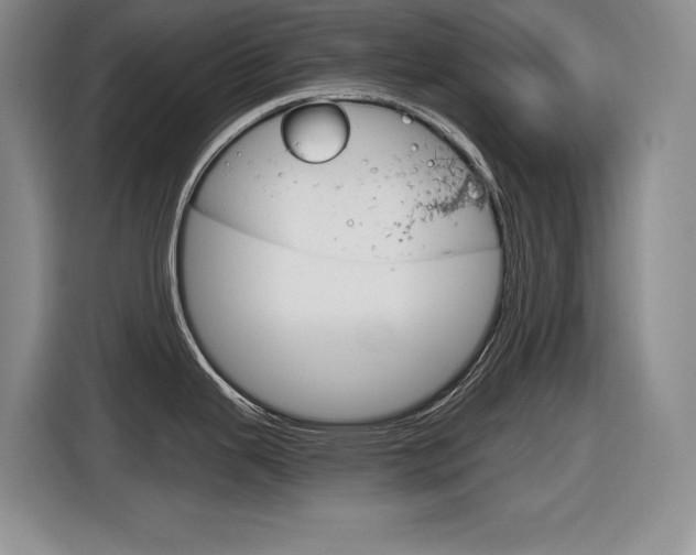 X0000116631343200912110953