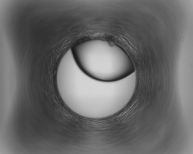 X0000116631345200912110952