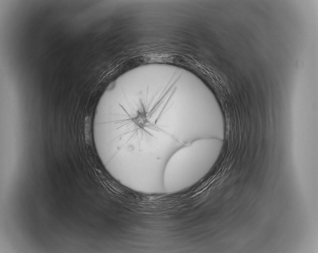 X0000116631346200912110952