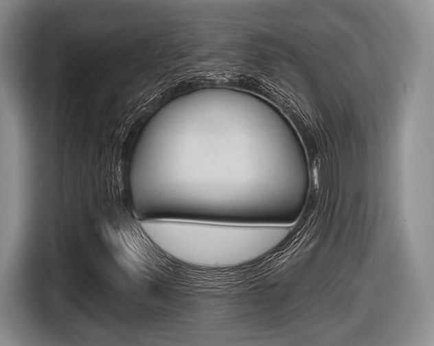 X0000116631347200912110952