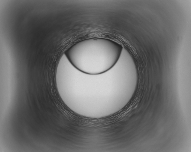 X0000116631348200912110952