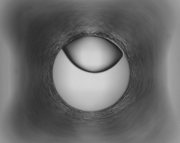 X0000116631349200912110952