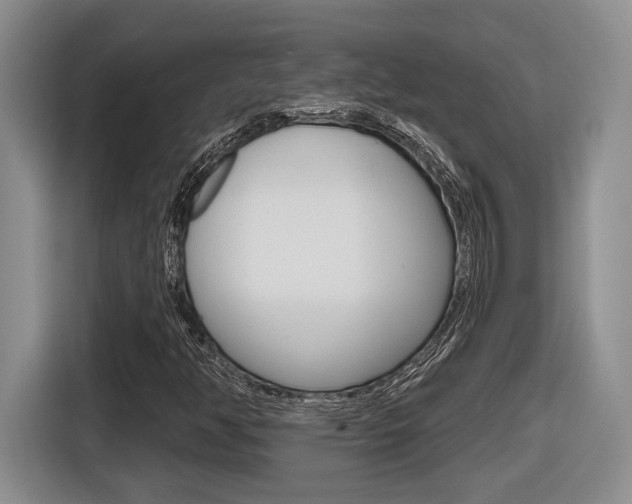 X0000116631350200912110952