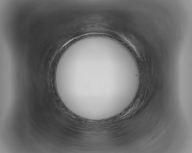 X0000116631352200912110952