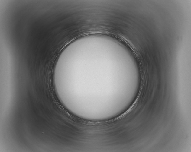 X0000116631353200912110952