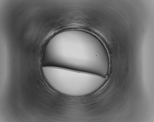 X0000116631355200912110952