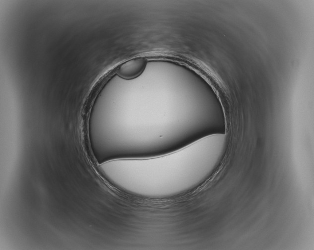 X0000116631356200912110952
