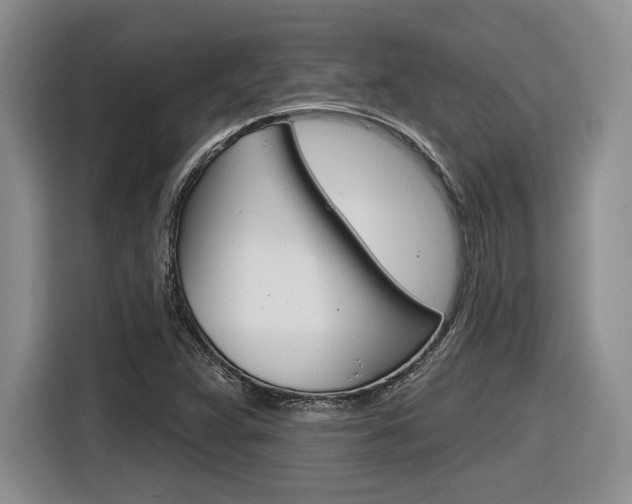 X0000116631359200912110952