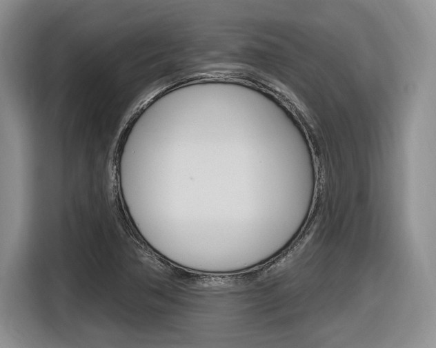 X0000116631362200912110952