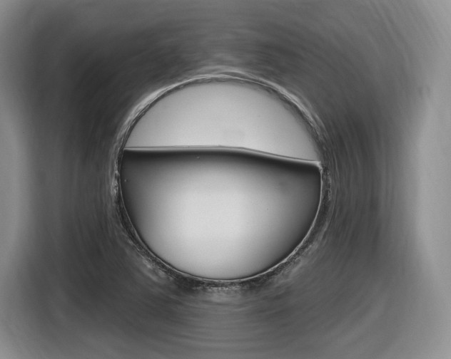 X0000116631363200912110952
