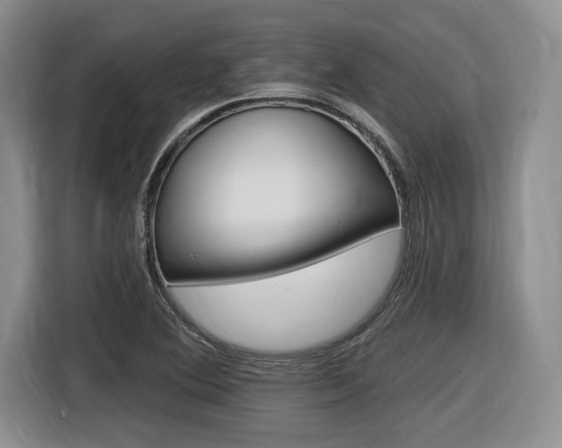 X0000116631364200912110952
