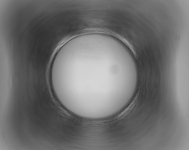 X0000116631365200912110952
