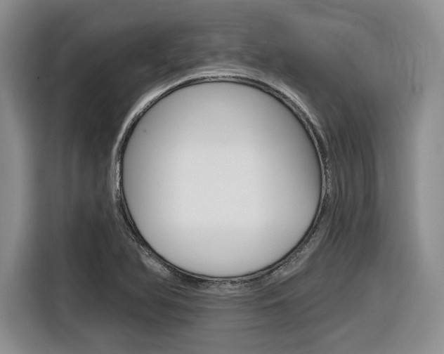 X0000116631366200912110952