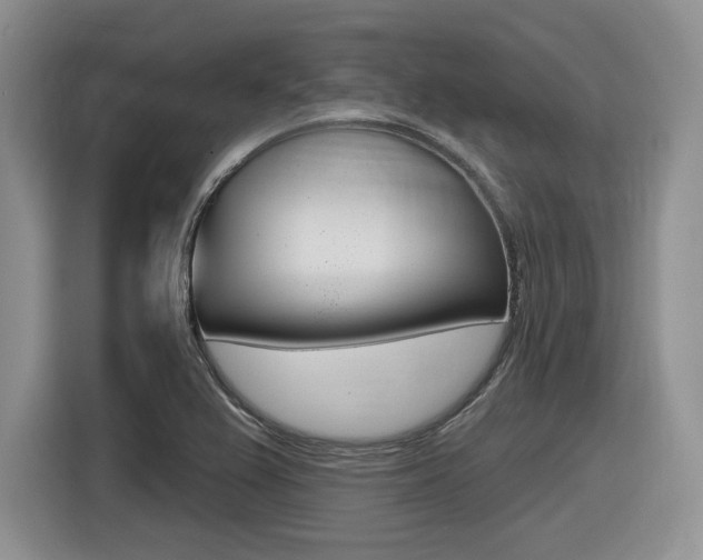 X0000116631367200912110952