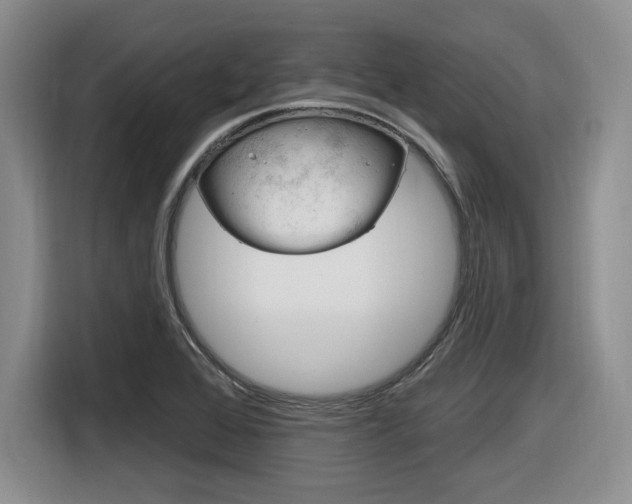 X0000116631368200912110952