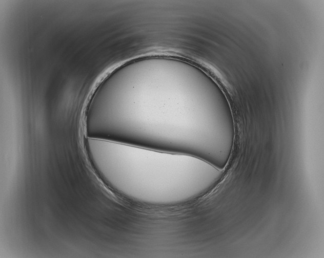 X0000116631371200912110952