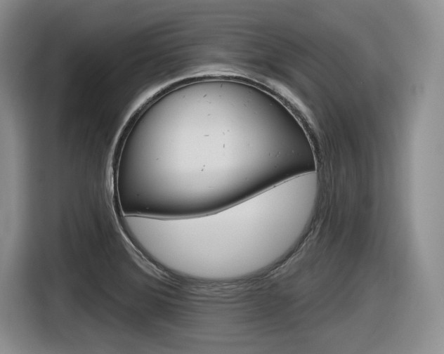 X0000116631372200912110952